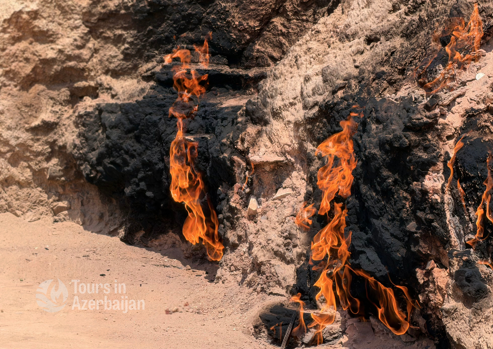  - Image 11